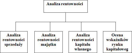 Zakres analizy rentowności
